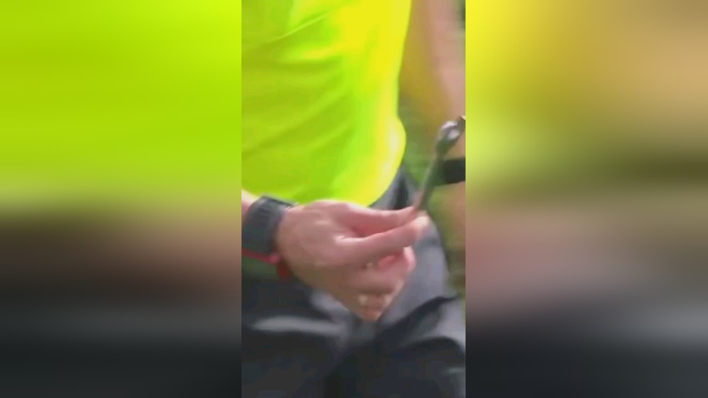 塔罗